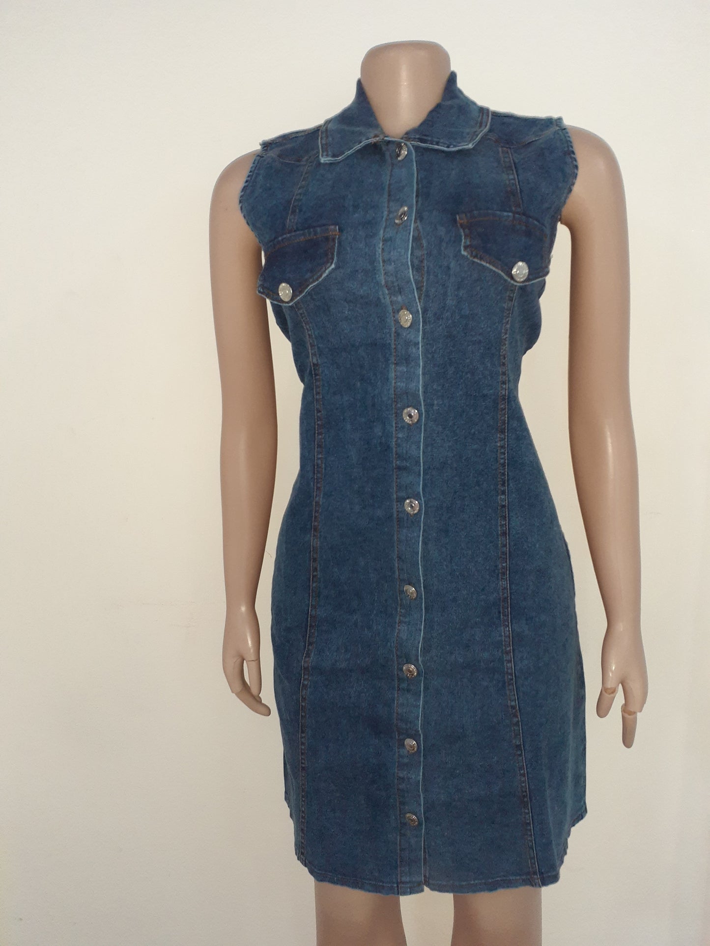 Zuma Denim Dress
