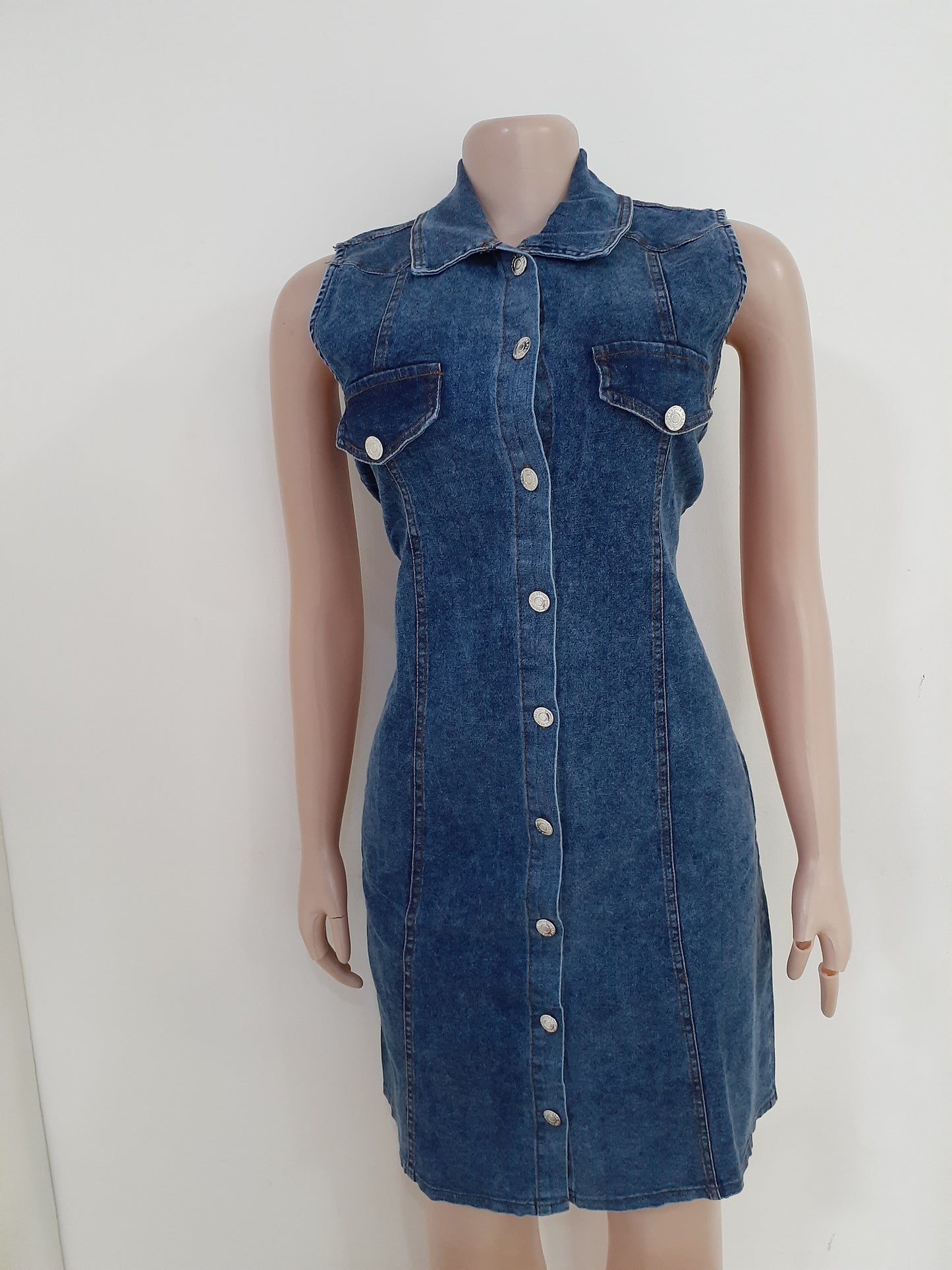 Zuma Denim Dress
