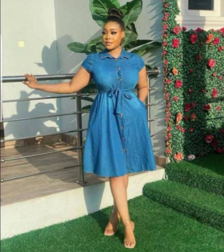 Toni Plus Denim Dress