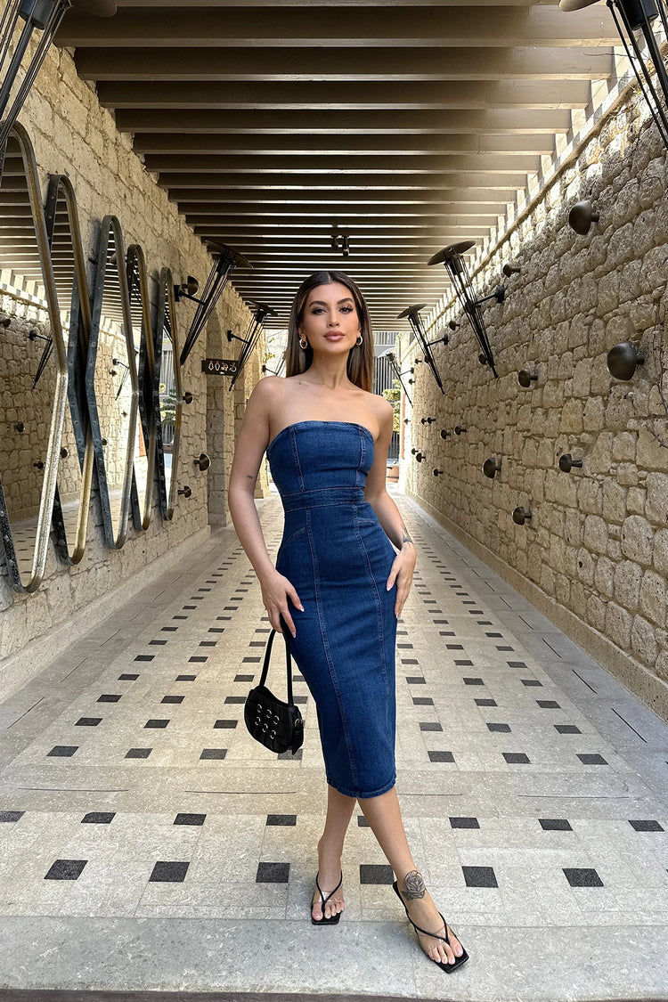 Vicky Tube Denim Dress