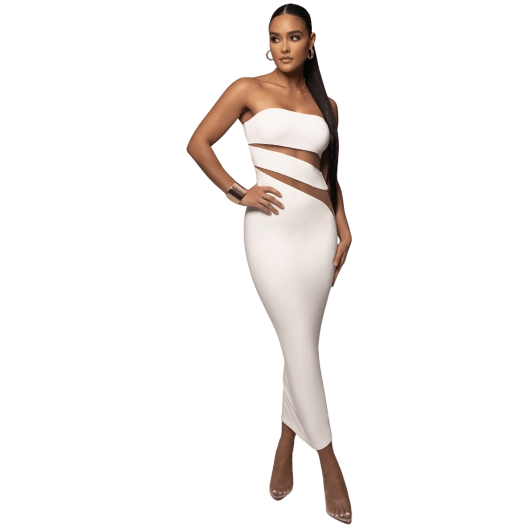 Ida Mesh Panel Midi Dress