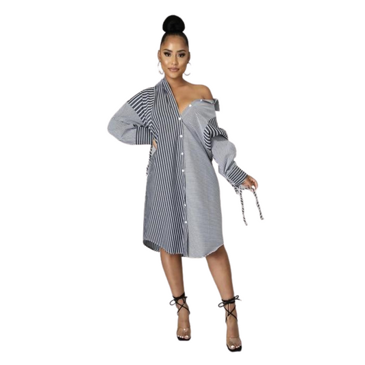 Betsy Assorted Shift/Shirt Dress